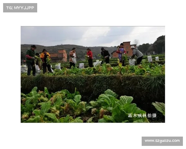 考辛斯中国行涪陵探访之旅 品味独特榨菜与创意榨菜咖啡体验